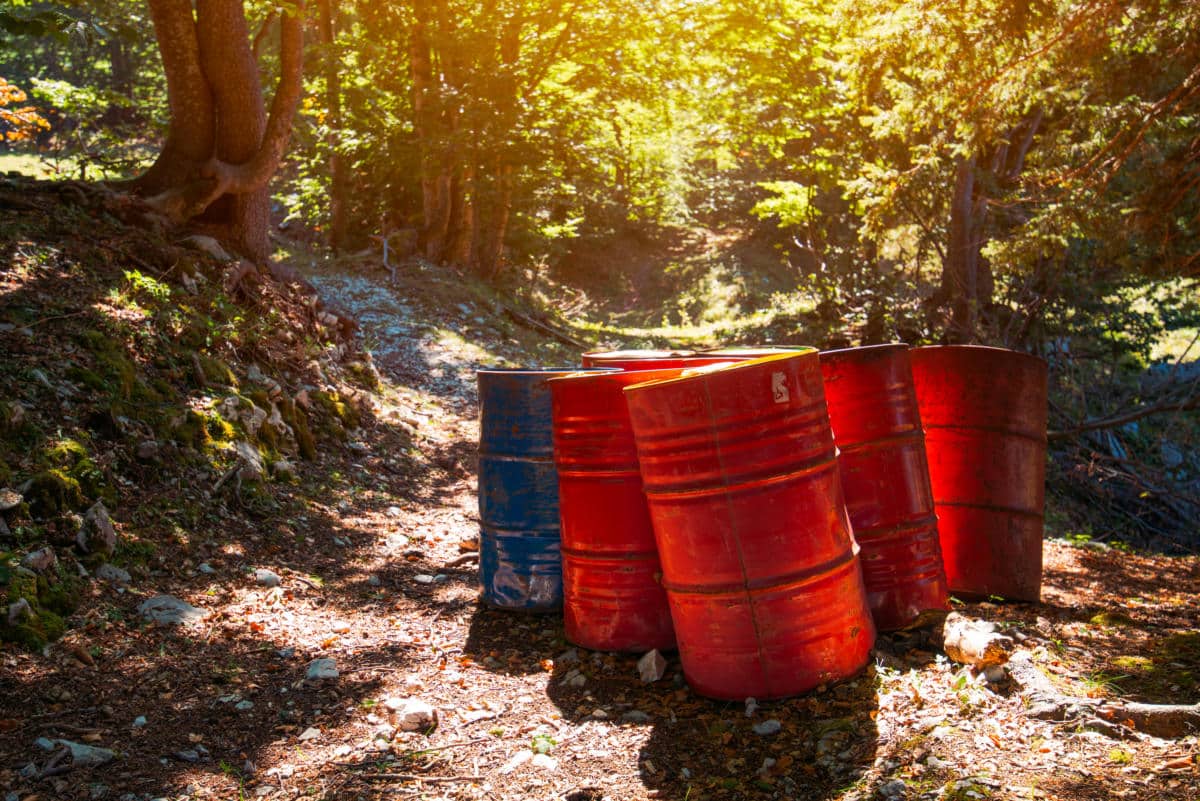 Red and blue toxic waste barrels on a covered path in a forest