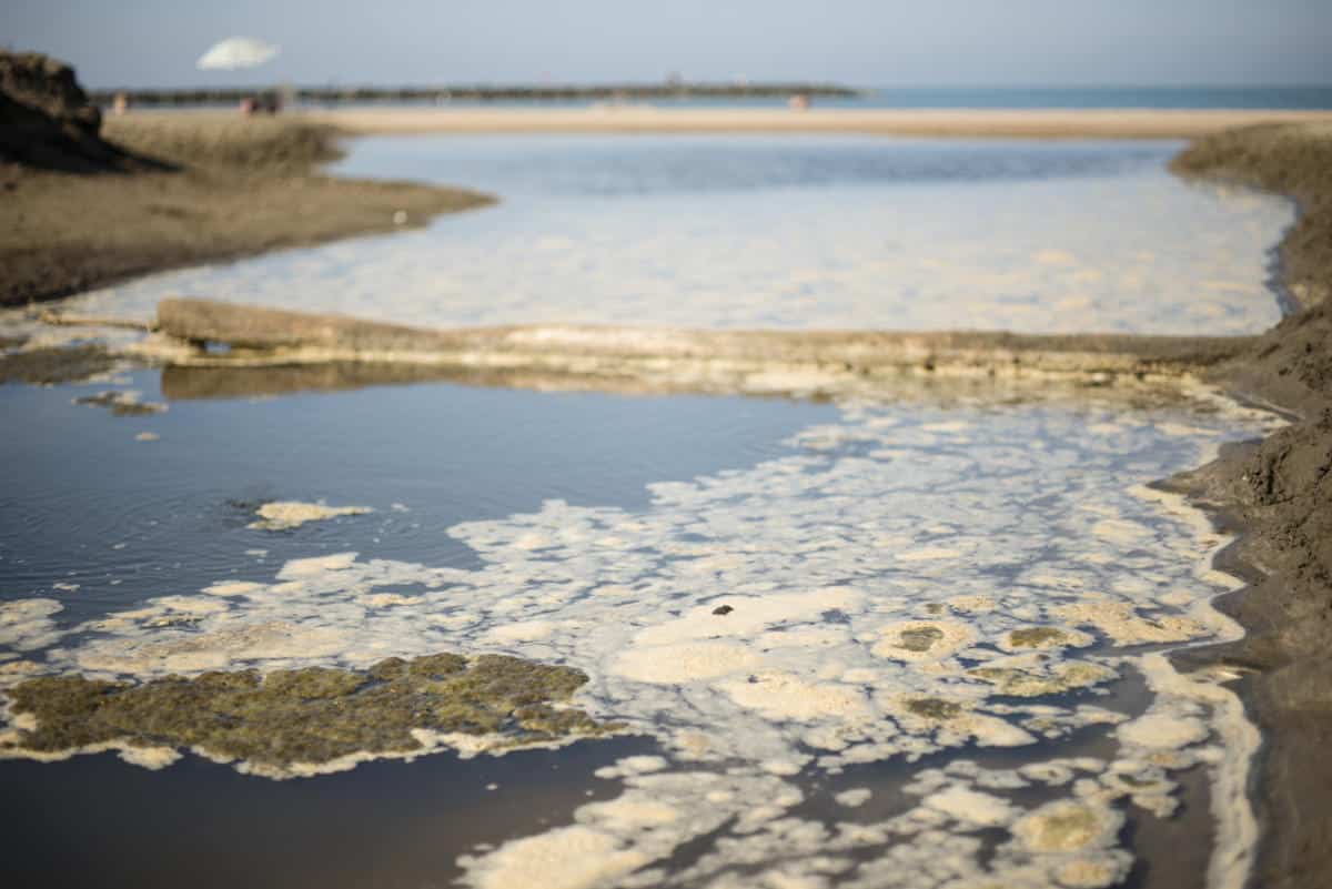 Water pollution foam on a fresh water canal.