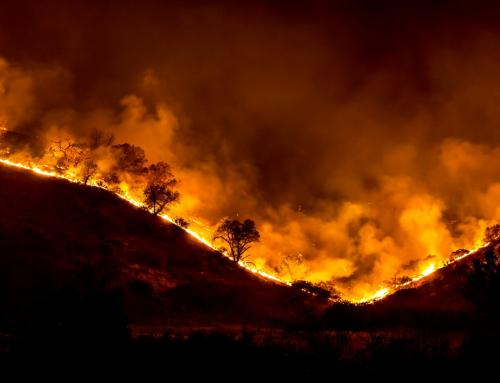 New Emergency Preparedness Procedures Necessary as California Wildfires Worsen
